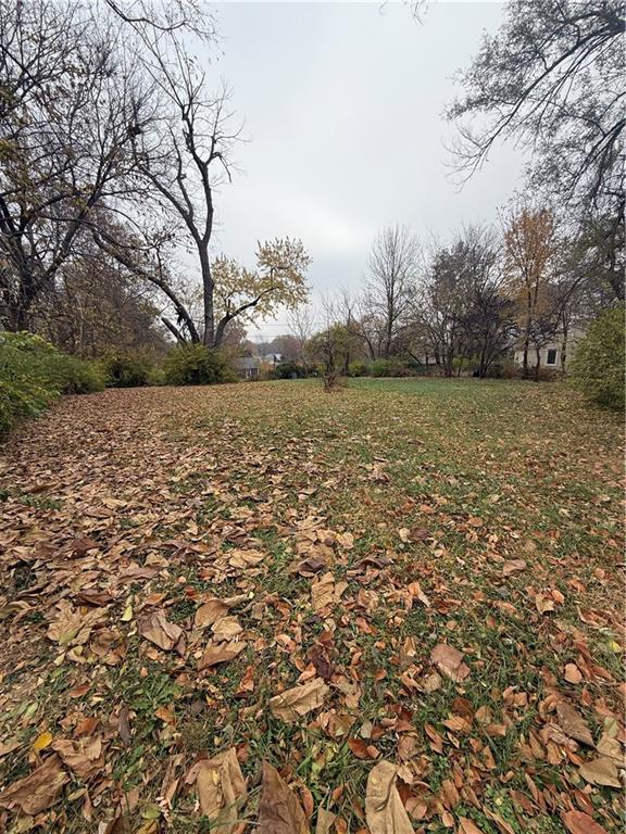 Listing Photo MLS #HMS2588407