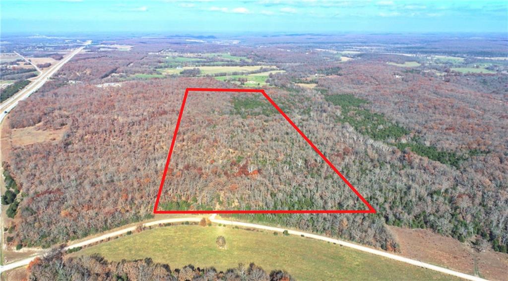 Listing Photo MLS #HMS2588564