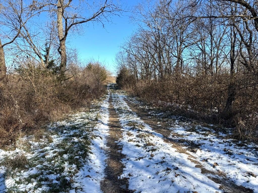 Listing Photo MLS #HMS2589238