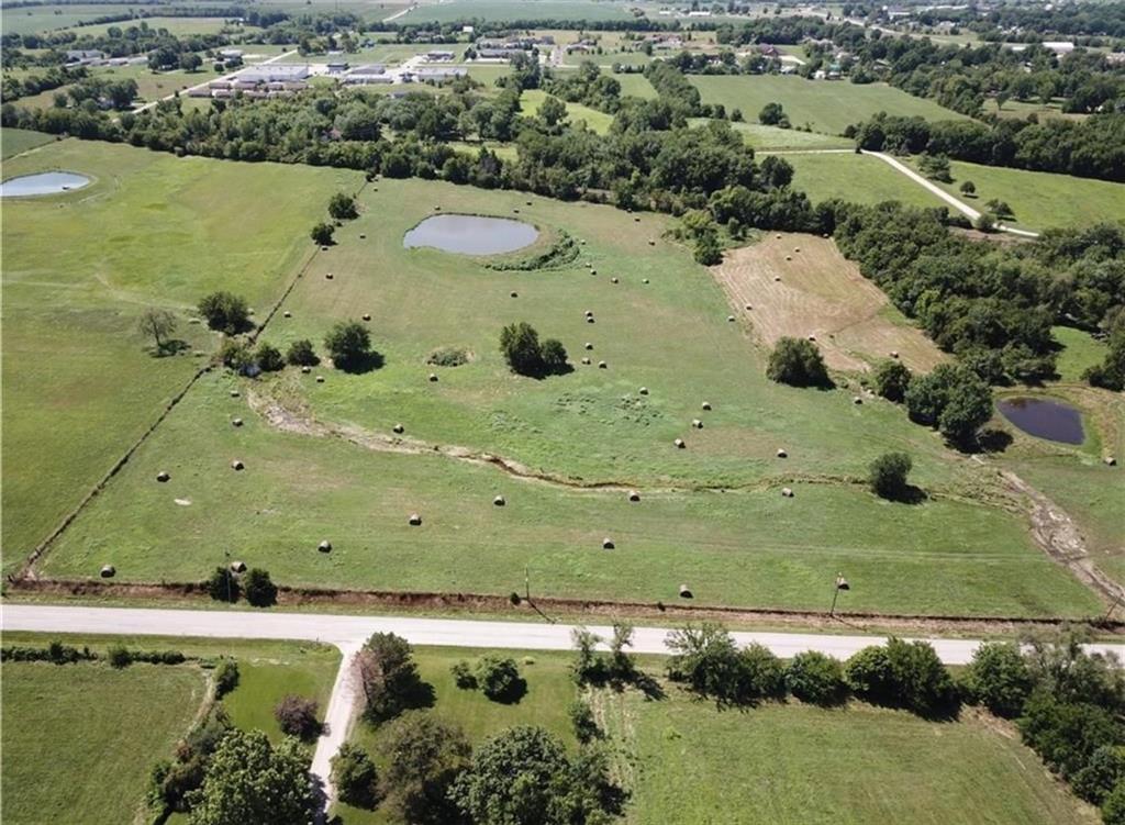 Listing Photo MLS #HMS2589718