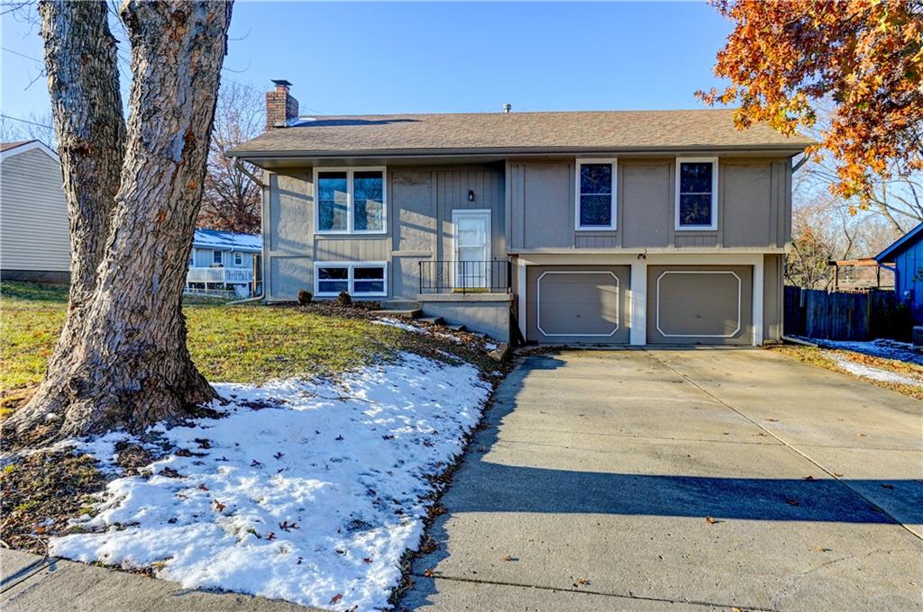 Listing Photo MLS #HMS2589785