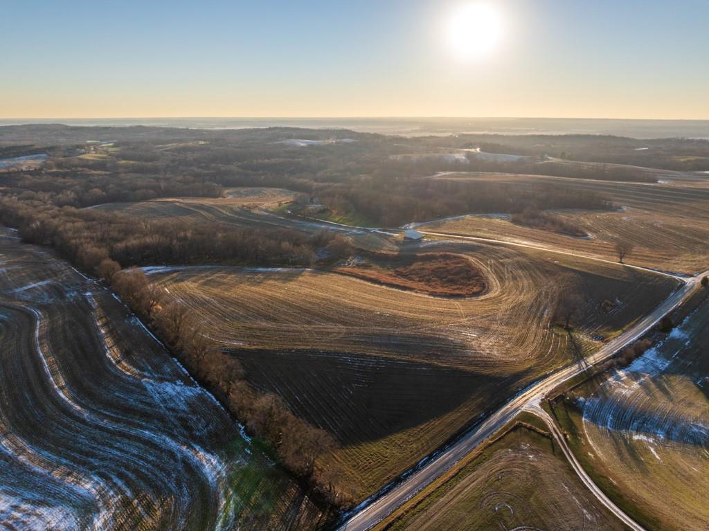 Listing Photo MLS #HMS2591787