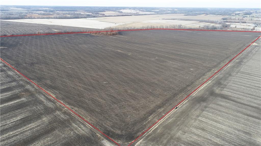 Listing Photo MLS #HMS2591990