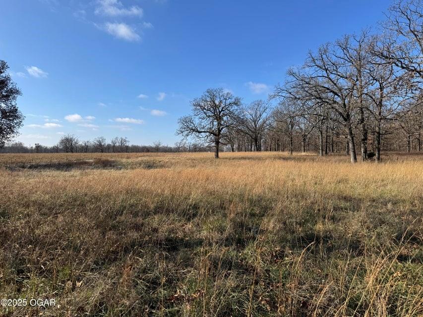 Listing Photo MLS #HMS2592300