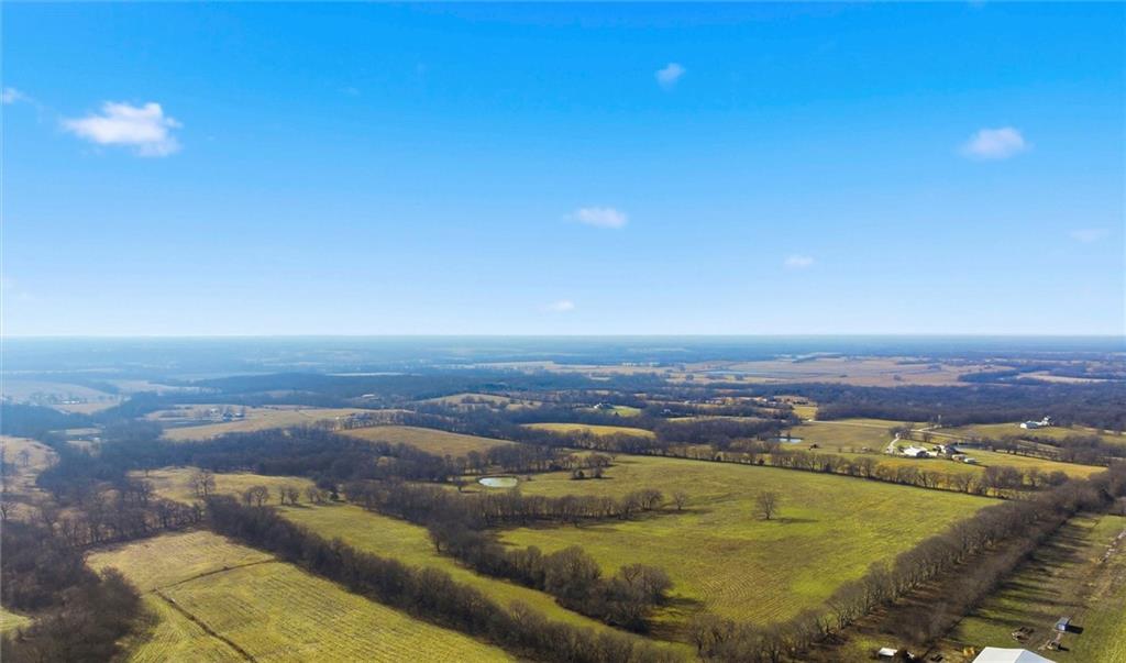 Listing Photo MLS #HMS2594969