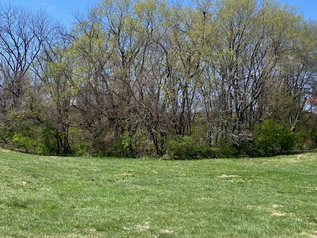 Listing Photo MLS #HMS2596339