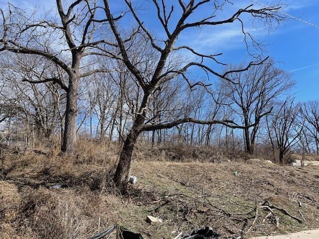 Listing Photo MLS #HMS2597531