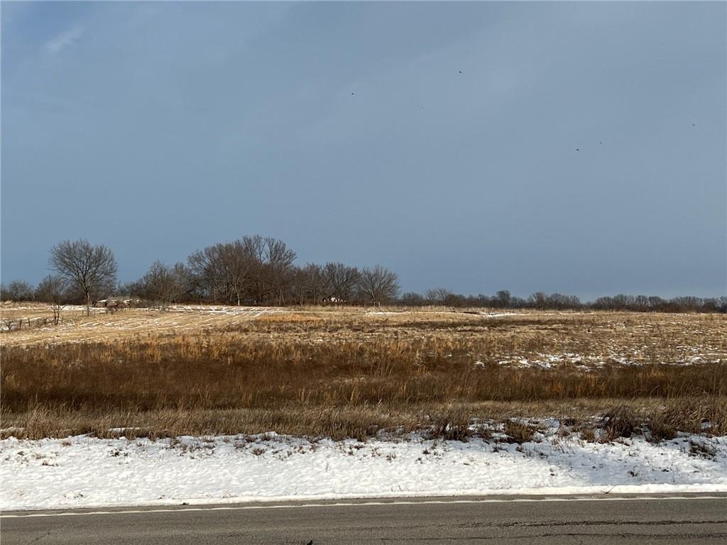 Listing Photo MLS #HMS2598854