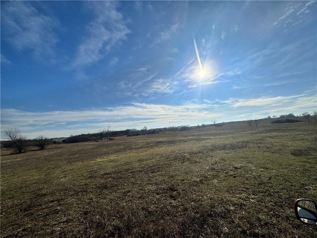 Listing Photo MLS #HMS2598975