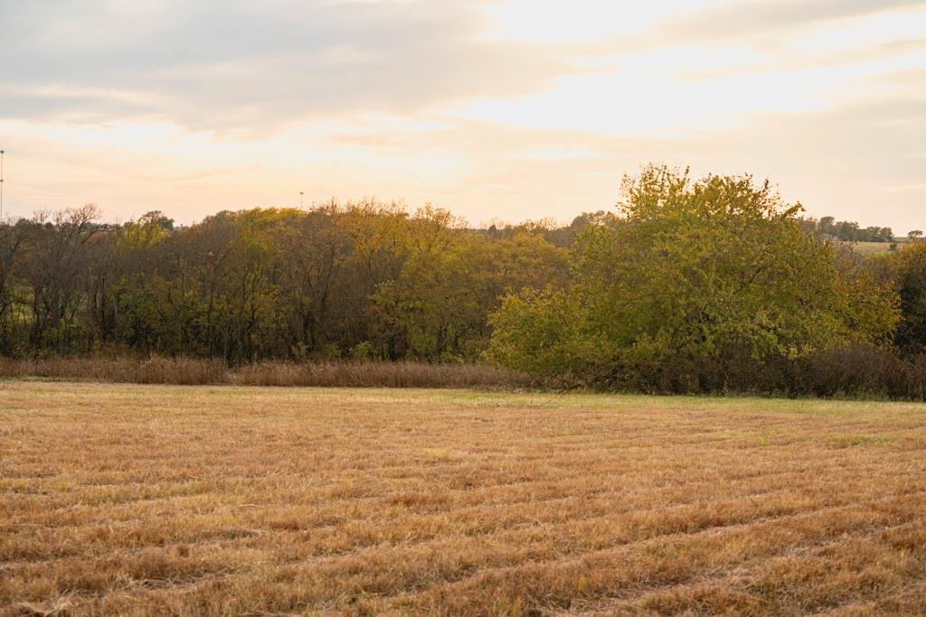 Listing Photo MLS #HMS2601536