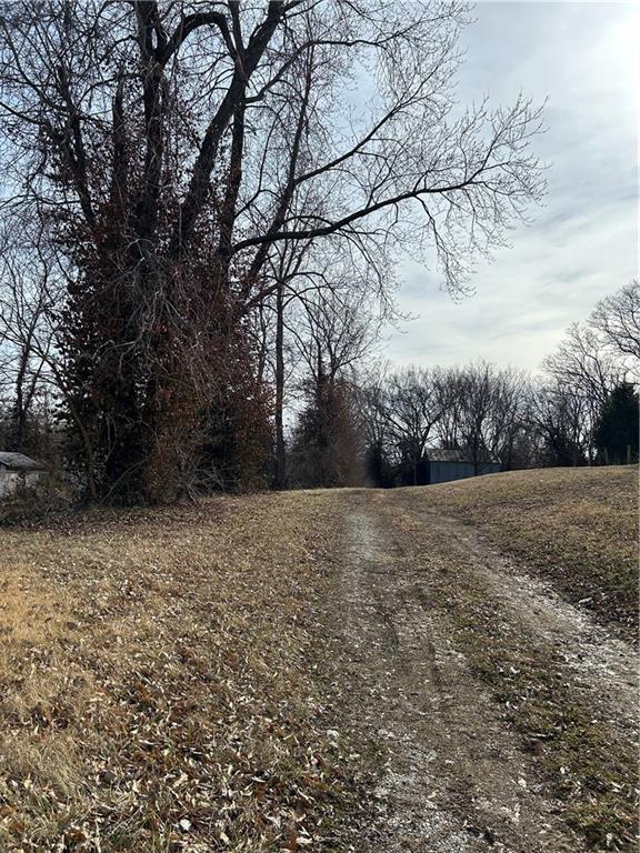 Listing Photo MLS #HMS2602259