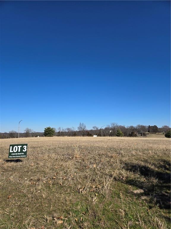 Listing Photo MLS #HMS2602854