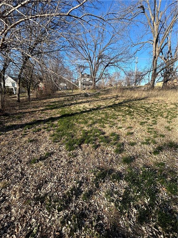 Listing Photo MLS #HMS2603202