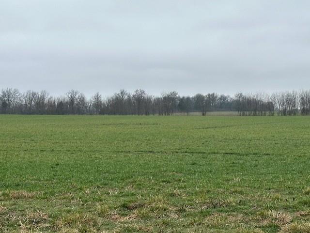 Listing Photo MLS #HMS2604132