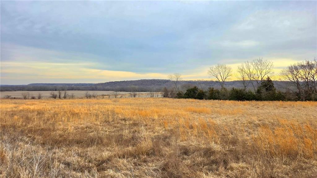 Listing Photo MLS #HMS2604400