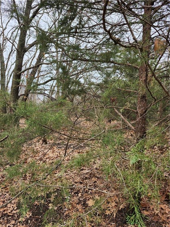 Listing Photo MLS #HMS2604732