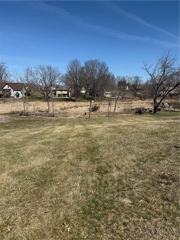 Listing Photo MLS #HMS2605849