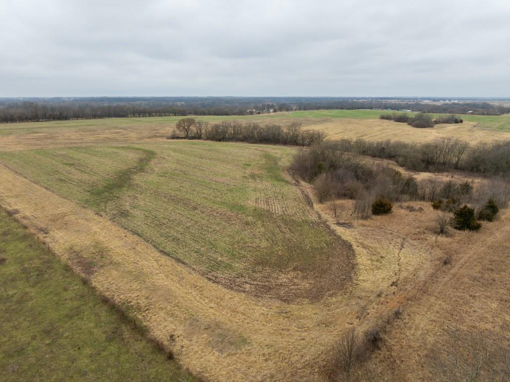 Listing Photo MLS #HMS2606617