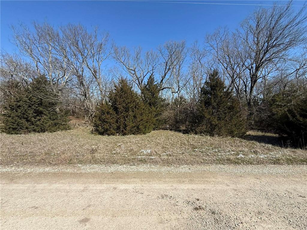 Listing Photo MLS #HMS2607442