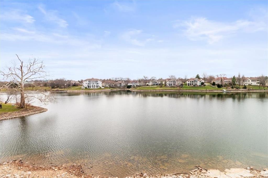 Listing Photo MLS #HMS2608921