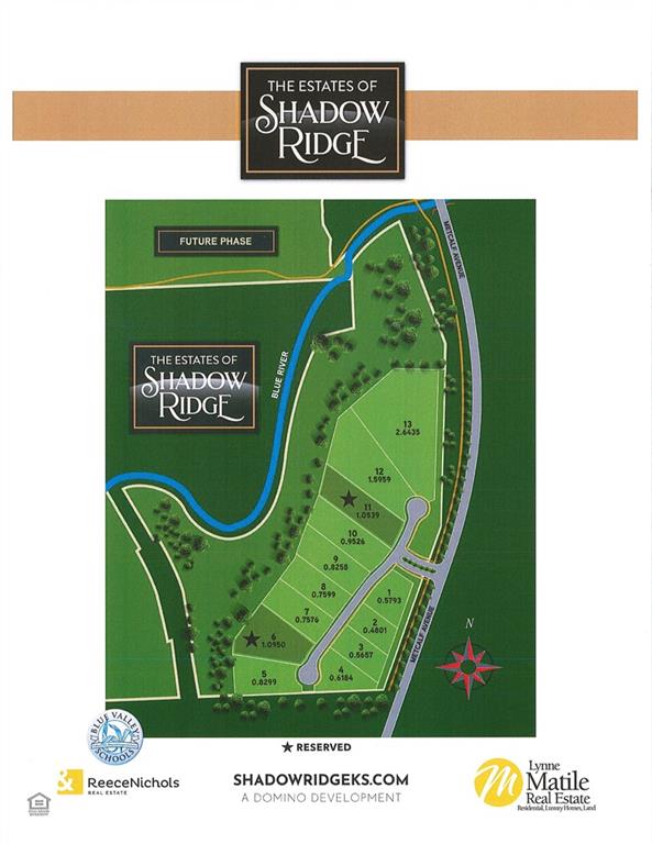 Listing Photo MLS #HMS2608976