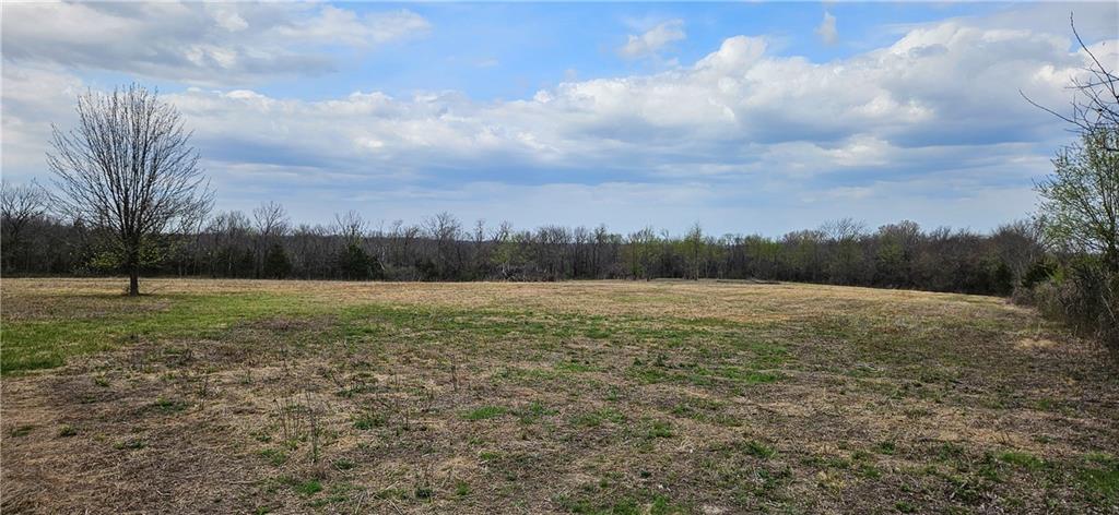 Listing Photo MLS #HMS2610792