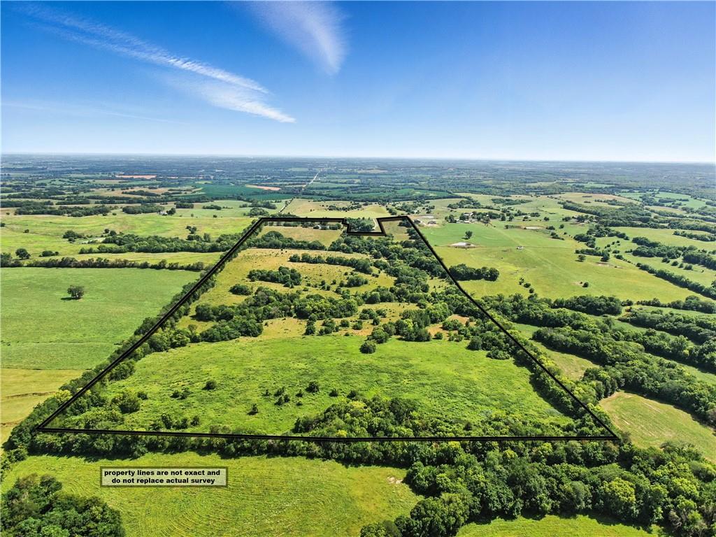 Listing Photo MLS #HMS2612046