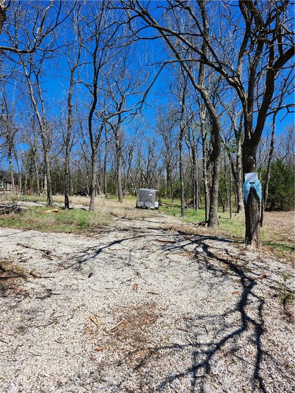 Listing Photo MLS #HMS2612333