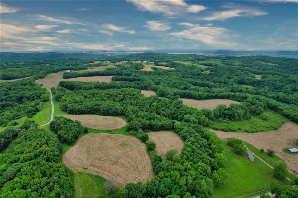 Listing Photo MLS #HMS2612476