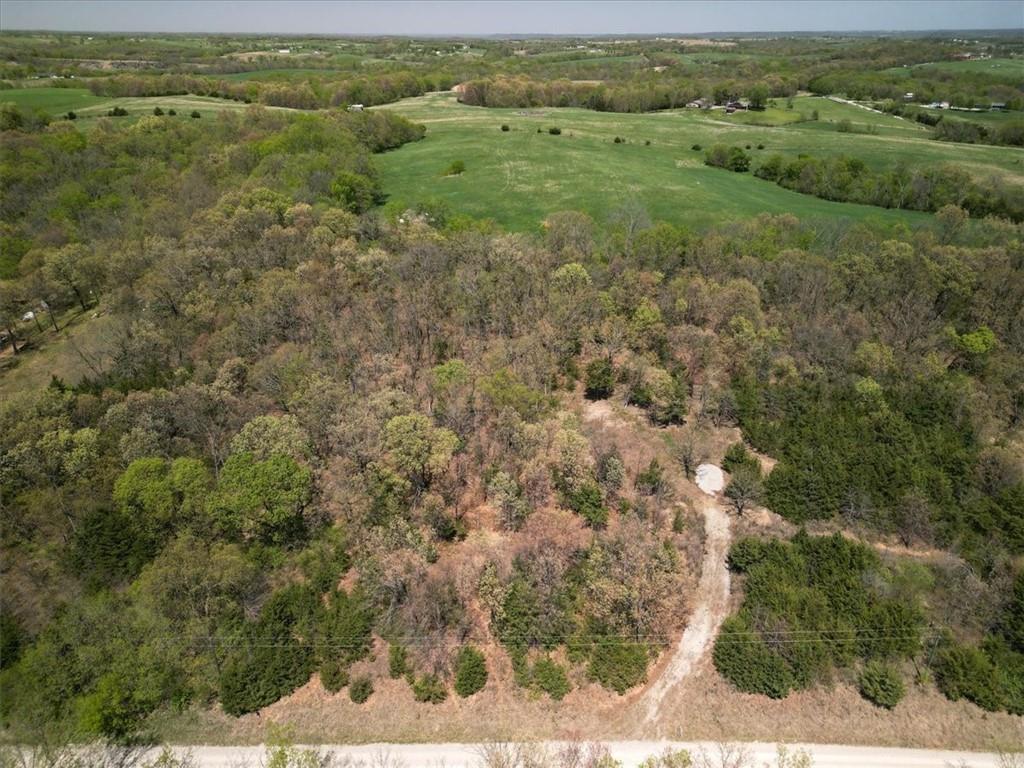 Listing Photo MLS #HMS2615455