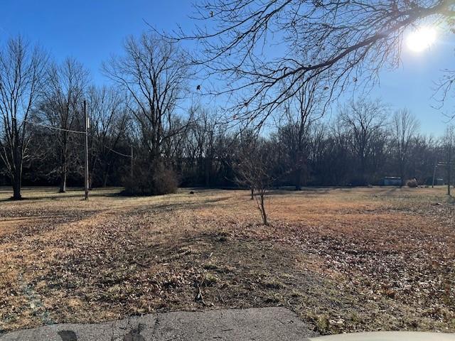 Listing Photo MLS #HMS2615939