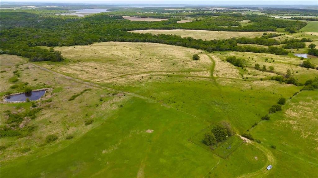 Listing Photo MLS #HMS2618138
