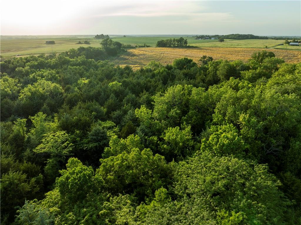 Listing Photo MLS #HMS2625277