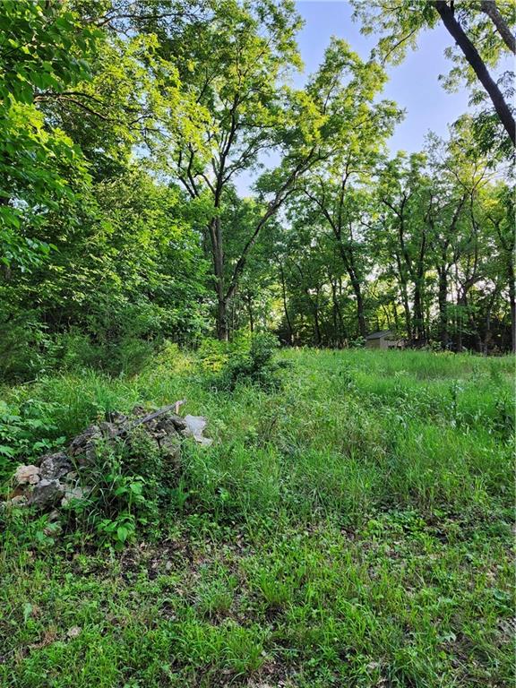 Listing Photo MLS #HMS2625774