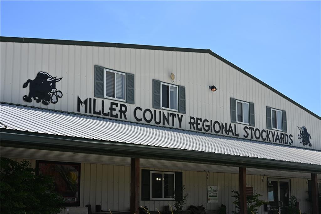 Listing Photo MLS #HMS2626071