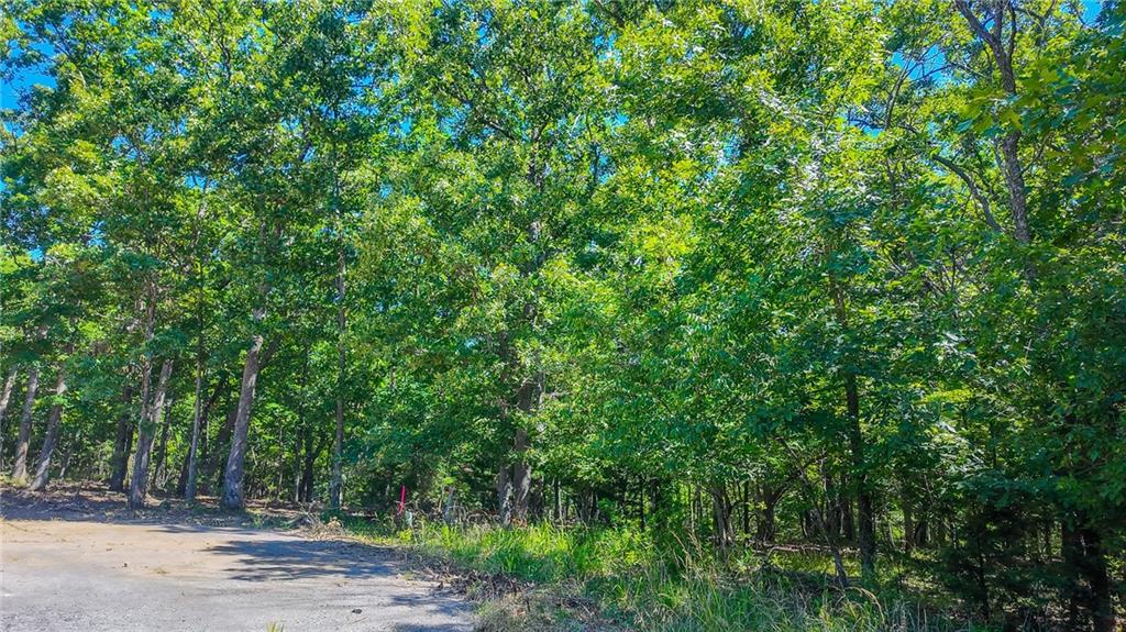 Listing Photo MLS #HMS2627290