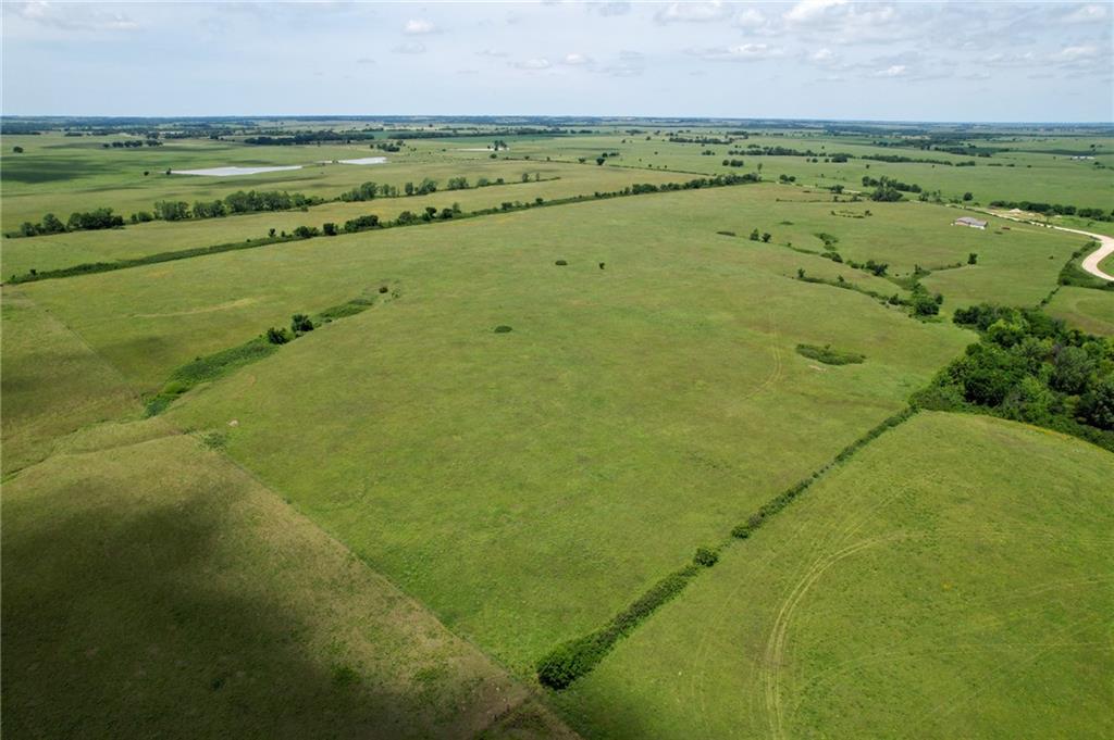 Listing Photo MLS #HMS2627335