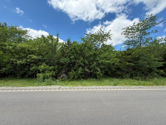 Listing Photo MLS #HMS2627532