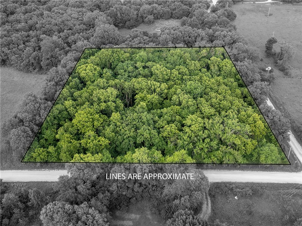 Listing Photo MLS #HMS2628401