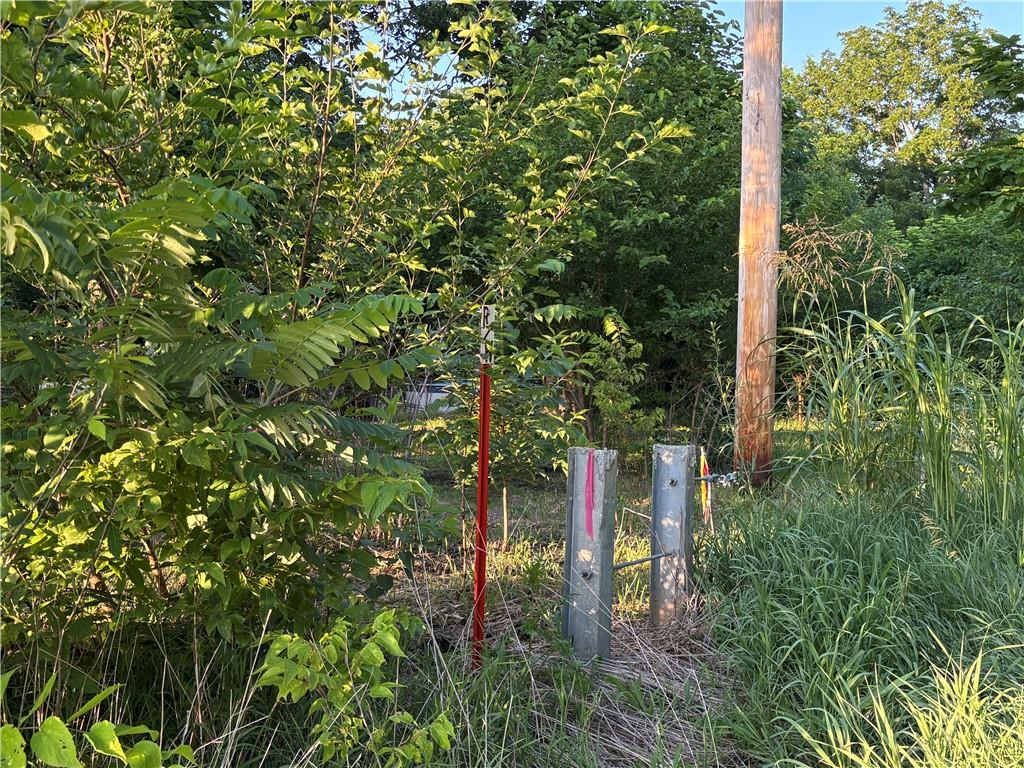 Listing Photo MLS #HMS2628781
