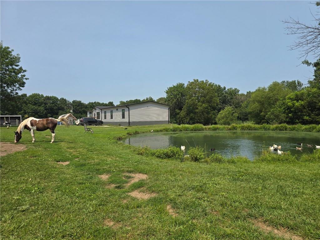 Listing Photo MLS #HMS2629331