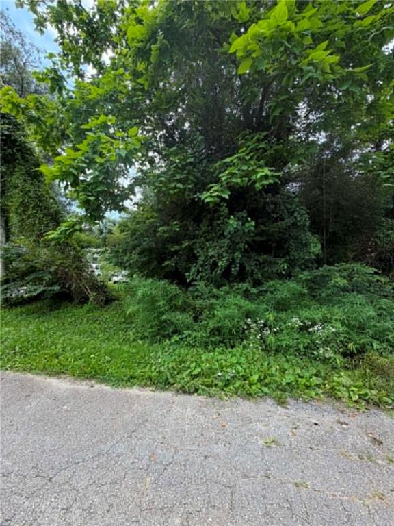 Listing Photo MLS #HMS2629528