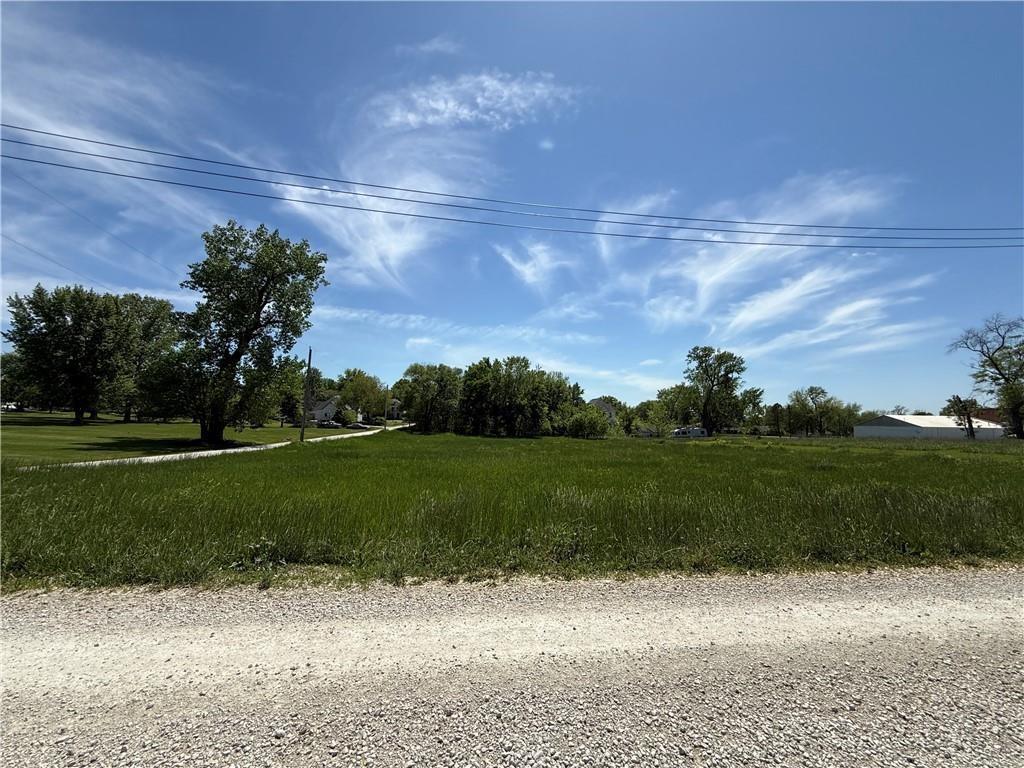 Listing Photo MLS #HMS2630350