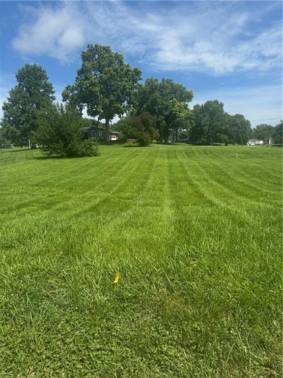 Listing Photo MLS #HMS2630608