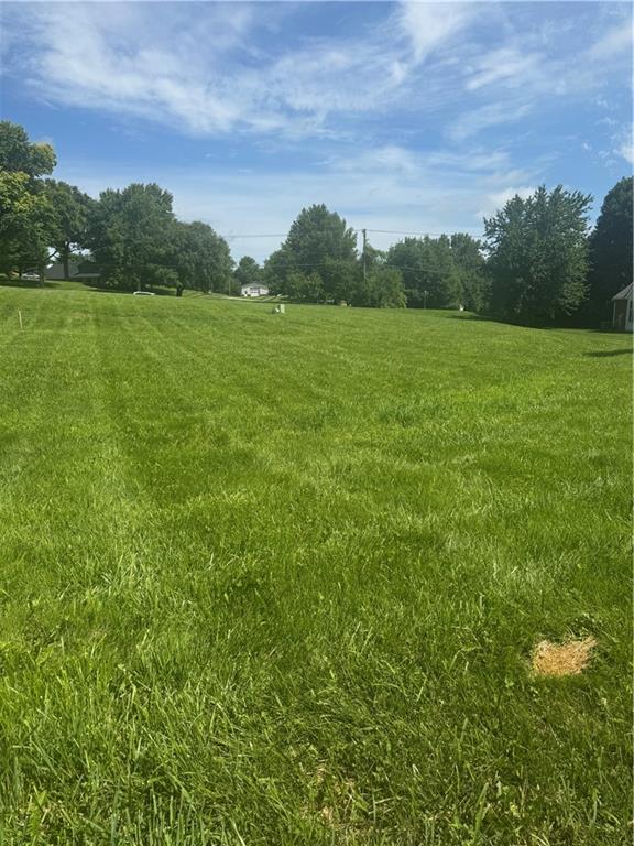 Listing Photo MLS #HMS2630614