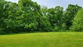 Listing Photo MLS #HMS2630840