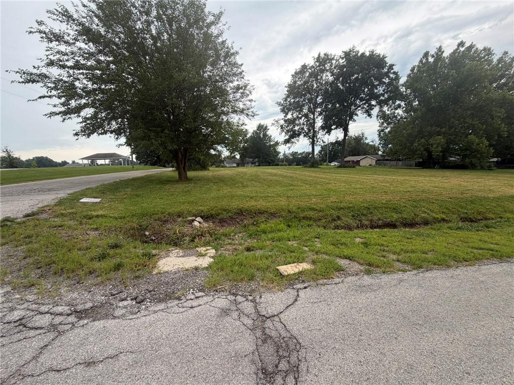 Listing Photo MLS #HMS2630871