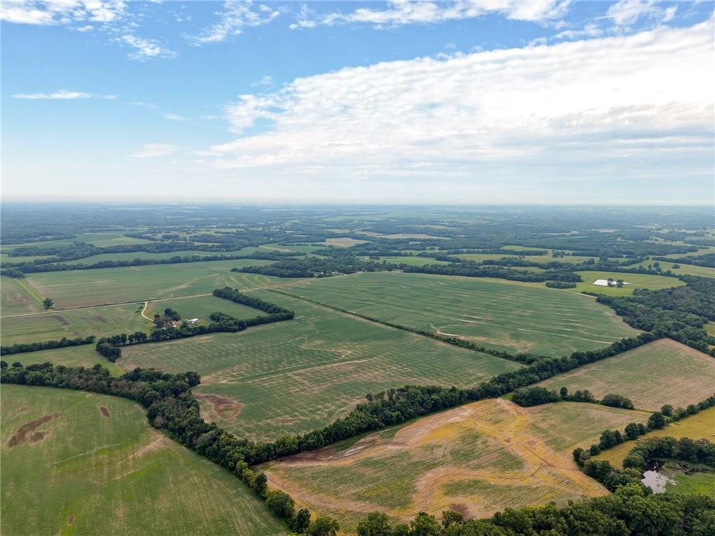 Listing Photo MLS #HMS2632344