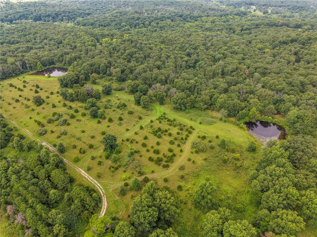 Listing Photo MLS #HMS2633163
