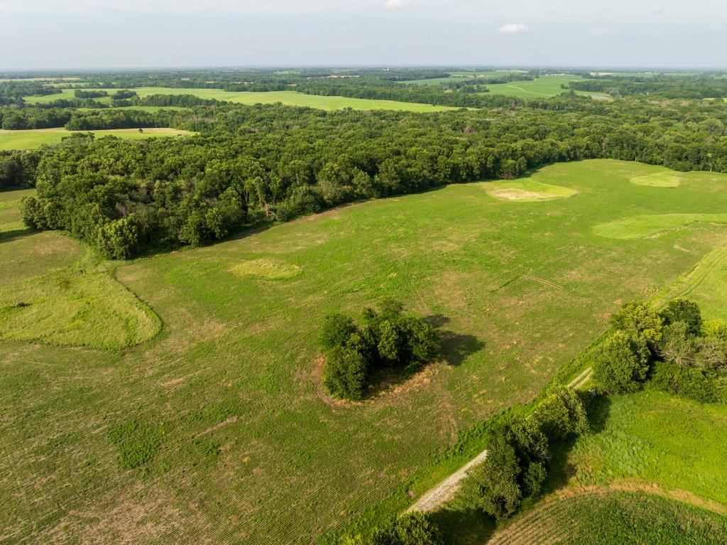 Listing Photo MLS #HMS2633574